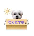 チロさんのカワイイスタンプ（個別スタンプ：2）