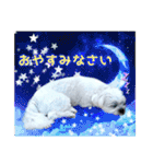 チロさんのカワイイスタンプ（個別スタンプ：4）