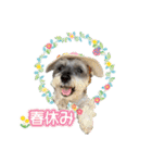 おちゃめなミニシュナ！ vol.4【春夏編】（個別スタンプ：2）