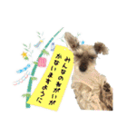 おちゃめなミニシュナ！ vol.4【春夏編】（個別スタンプ：15）
