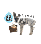 おちゃめなミニシュナ！ vol.4【春夏編】（個別スタンプ：18）