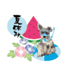 おちゃめなミニシュナ！ vol.4【春夏編】（個別スタンプ：23）