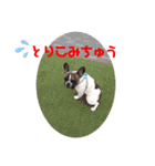 ぶるちゃんすたんぷ2（個別スタンプ：6）
