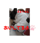 ぶるちゃんすたんぷ2（個別スタンプ：31）