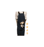 チワックスのころも（個別スタンプ：1）