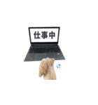 チワックスのころも（個別スタンプ：9）