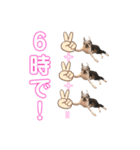 ボストンテリアウメ達のスタンプ2（個別スタンプ：5）