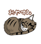 うちのもちねこ（個別スタンプ：2）