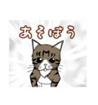 うちのもちねこ（個別スタンプ：5）