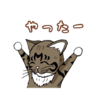 うちのもちねこ（個別スタンプ：10）