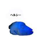 使いやすいね！ナポフィ（個別スタンプ：11）