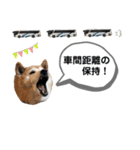 GSK☆バス【社内用スタンプ】（個別スタンプ：22）