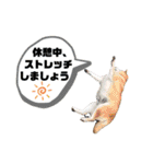 GSK☆バス【社内用スタンプ】（個別スタンプ：25）