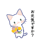 毎日が楽しい！しろねこさん（個別スタンプ：22）