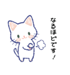 毎日が楽しい！しろねこさん（個別スタンプ：37）