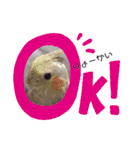 ザ・ピートルズ④（個別スタンプ：3）