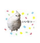 ザ・ピートルズ④（個別スタンプ：20）
