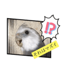 ザ・ピートルズ④（個別スタンプ：21）