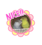 ザ・ピートルズ④（個別スタンプ：39）