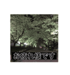 すなっぷショット（個別スタンプ：2）