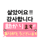 使える！韓国語と日本語（個別スタンプ：15）