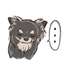 チワワタン！（個別スタンプ：6）