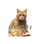 テキレオンラテ第2段（個別スタンプ：2）