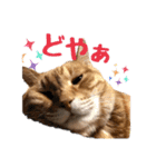 テキレオンラテ第2段（個別スタンプ：6）