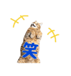テキレオンラテ第2段（個別スタンプ：7）