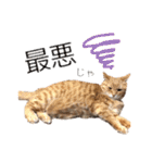 テキレオンラテ第2段（個別スタンプ：14）