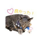 テキレオンラテ第2段（個別スタンプ：16）