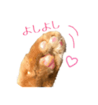 テキレオンラテ第2段（個別スタンプ：21）