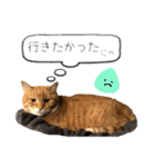 テキレオンラテ第2段（個別スタンプ：26）