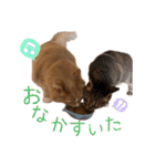 テキレオンラテ第2段（個別スタンプ：28）