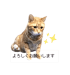 テキレオンラテ第2段（個別スタンプ：31）
