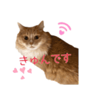 テキレオンラテ第2段（個別スタンプ：34）