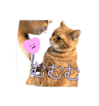 テキレオンラテ第2段（個別スタンプ：36）