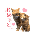 テキレオンラテ第2段（個別スタンプ：39）