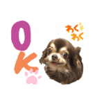 ワンダフル ぶぶすけ 2（個別スタンプ：6）