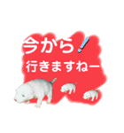 ワンダフル ぶぶすけ 2（個別スタンプ：7）