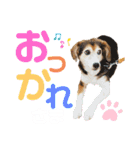 ワンダフル ぶぶすけ 2（個別スタンプ：9）