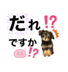 ワンダフル ぶぶすけ 2（個別スタンプ：11）