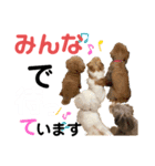 ワンダフル ぶぶすけ 2（個別スタンプ：13）