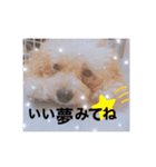 あたしの愛犬（個別スタンプ：16）