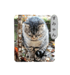 保護猫黒ちゃんと愉快な仲間たち2（個別スタンプ：5）