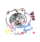 保護猫黒ちゃんと愉快な仲間たち2（個別スタンプ：9）