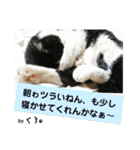 保護猫黒ちゃんと愉快な仲間たち2（個別スタンプ：10）