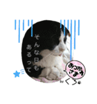 保護猫黒ちゃんと愉快な仲間たち2（個別スタンプ：12）
