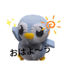 ぬいぐるみのぺんたスタンプ（個別スタンプ：7）