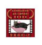 キジ猫ミミちゃんまっしぐら（個別スタンプ：40）